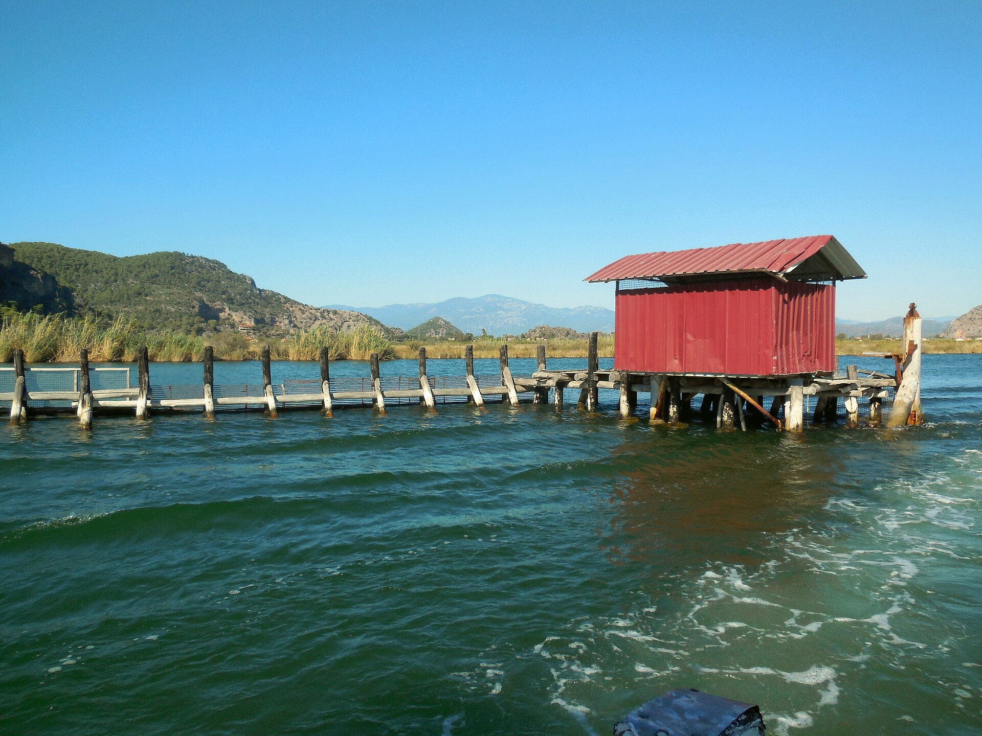 Dalyan – Ekincik-Bucht Bootstour